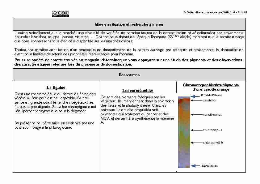 [PDF] La lignine Les caroténoïdes