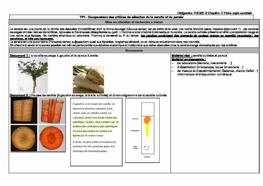 [PDF] Comparaison des critères de sélection de la carotte et du panais M