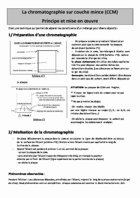 [PDF] La chromatographie sur couche mince (CCM) Principe et mise en