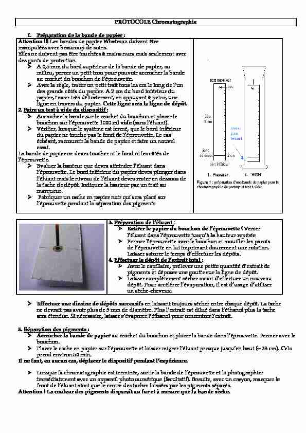 [PDF] PROTOCOLE Chromatographie 1 Préparation de la bande de papier