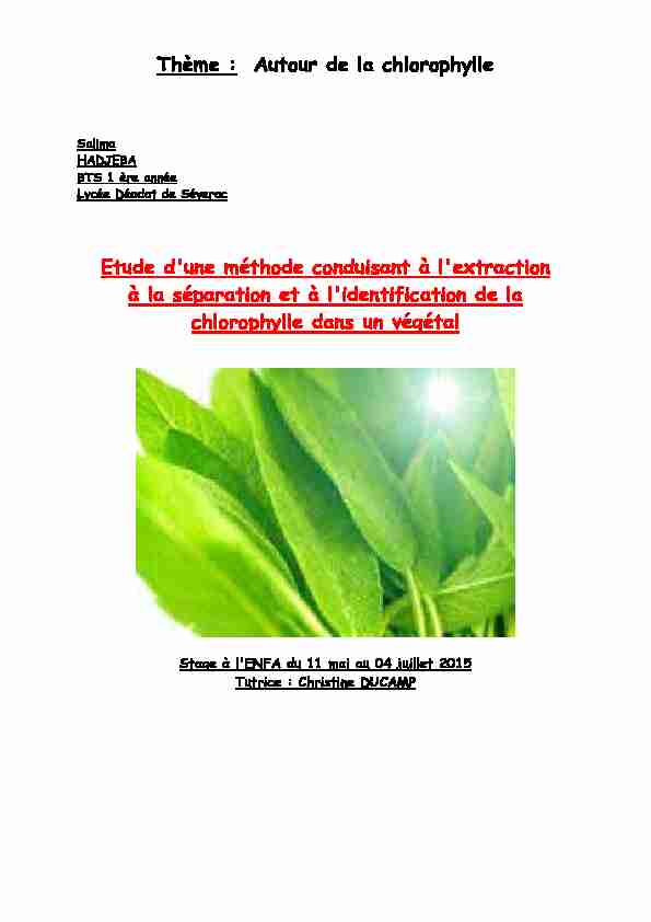 Chlorophylle Salima pour APEPA