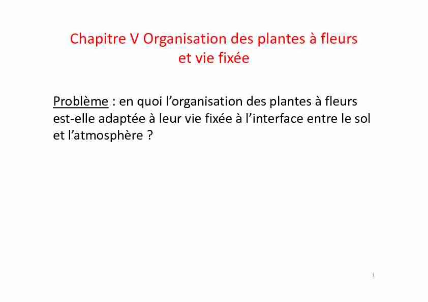 [PDF] Chapitre V Organisation des plantes à fleurs et vie fixée