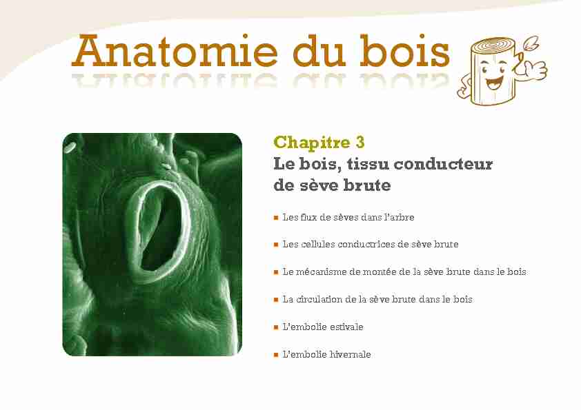 [PDF] Chapitre 3 Le bois tissu conducteur de sève brute - Fun MOOC
