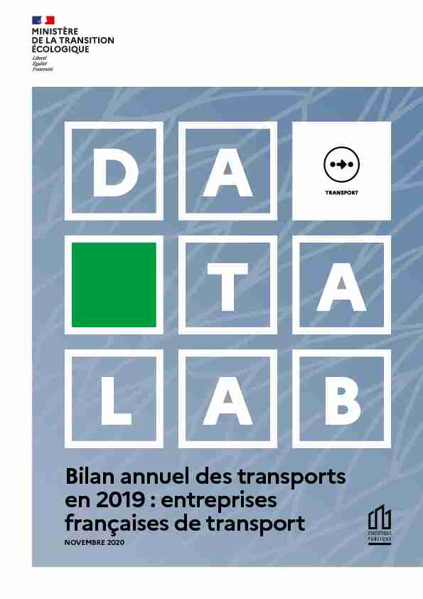 Bilan annuel des transports en 2019 : entreprises françaises de