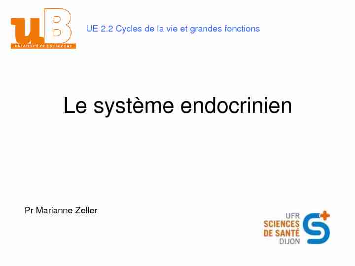 [PDF] Le système endocrinien - IFSI DIJON