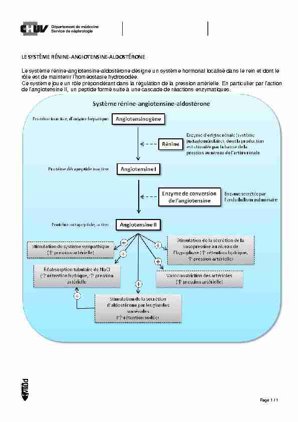chuv - le système rénine-angiotensine-aldostérone