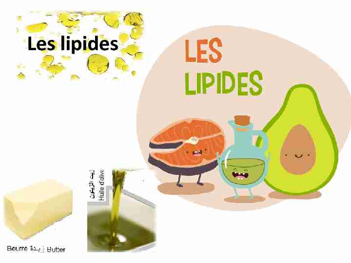 [PDF] Les lipides
