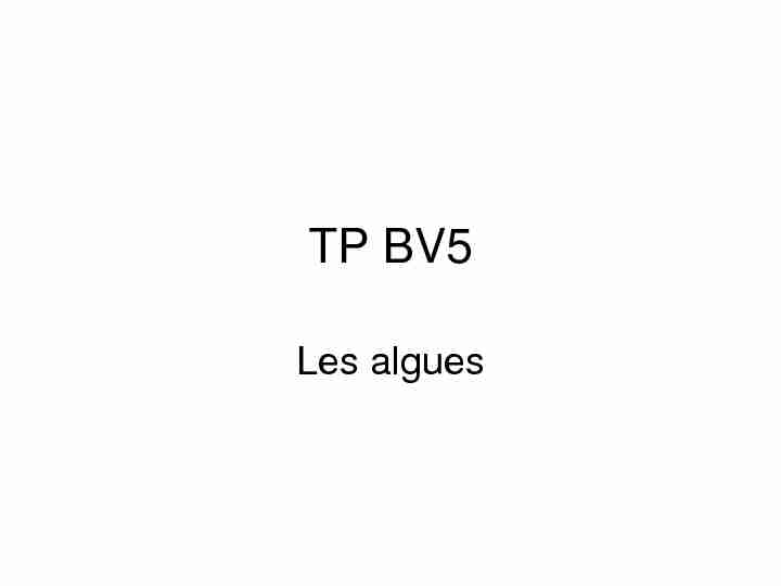 [PDF] TP BV7 - Free