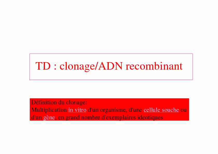 TD : clonage/ADN recombinant