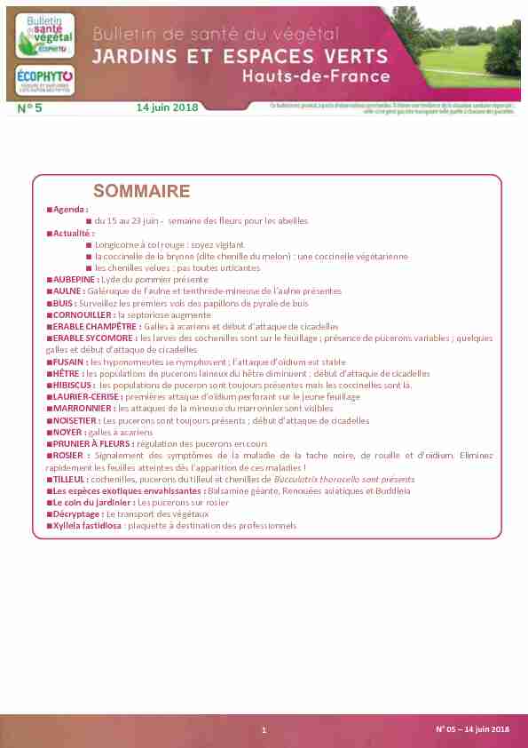 [PDF] BSV JEV HdeF n°5 pour relecture - DRAAF Hauts-de-France