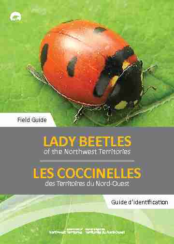 Field Guide LADY BEETLES - Northwest Territories