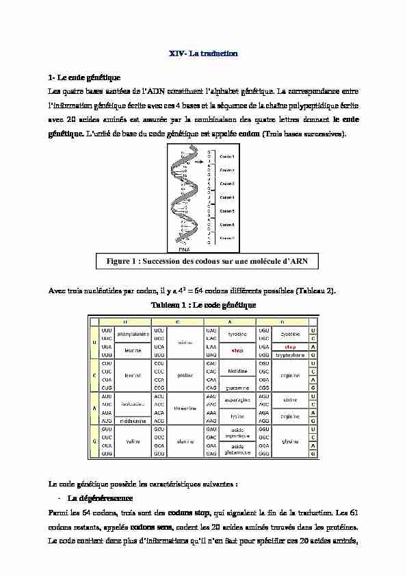 [PDF] XIV- La traduction 1- Le code génétique Les quatre bases azotées