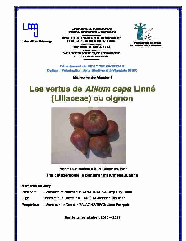 Les vertus de Allium cepa Linné (Liliaceae) ou oignon