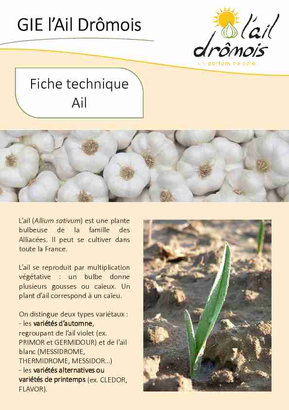 Fiche-technique-AIL-2019-07.pdf