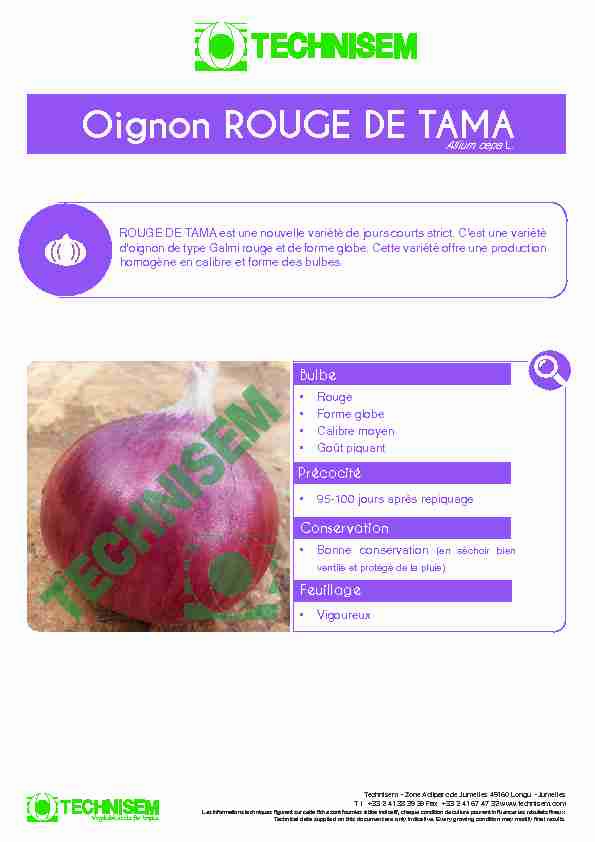 Oignon ROUGE DE TAMA