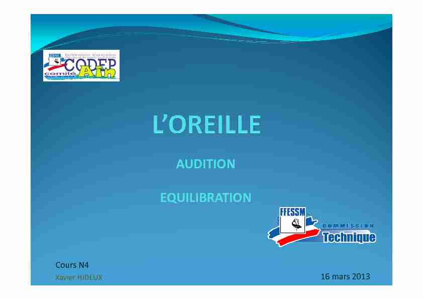 Loreille N4x