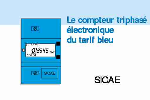[PDF] Le compteur triphasé électronique du tarif bleu