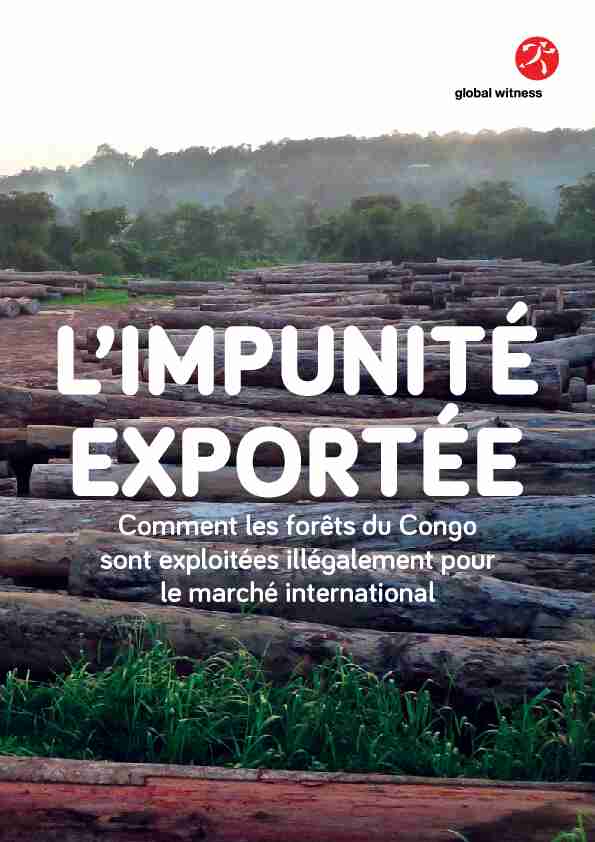 Comment les forêts du Congo sont exploitées illégalement pour le