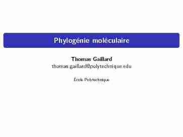 Phylogénie moléculaire