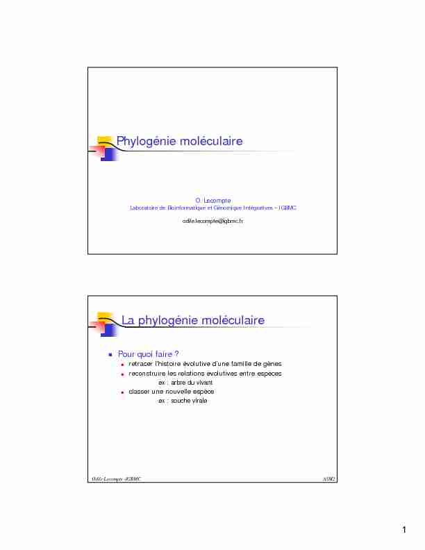 Phylogénie moléculaire La phylogénie moléculaire
