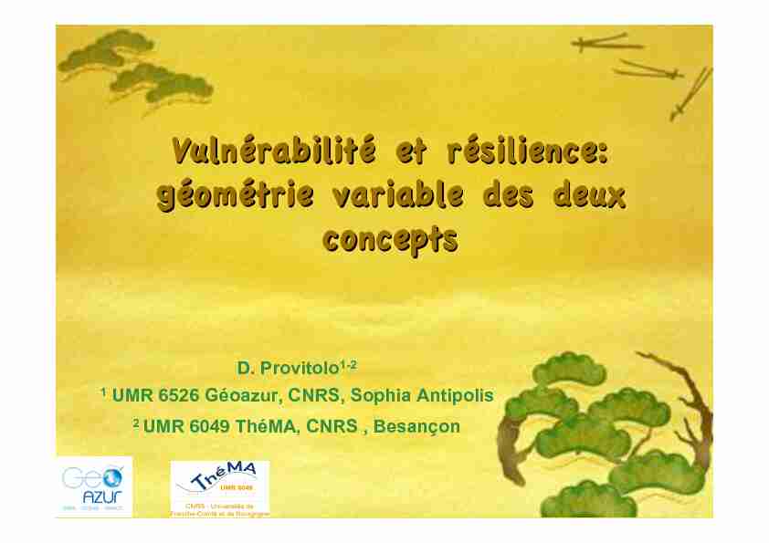 [PDF] Vulnérabilité et résilience: géométrie variable des deux concepts