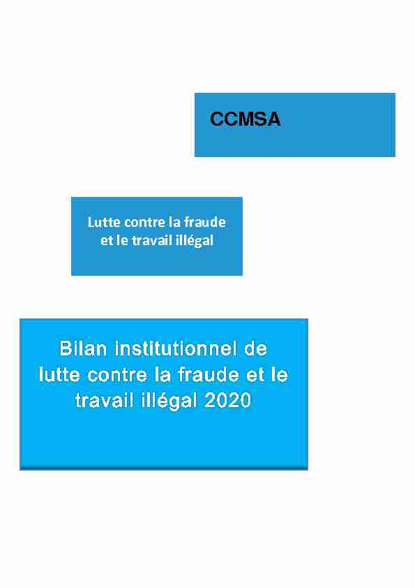 Bilan institutionnel de lutte contre la fraude et le travail illégal 2020