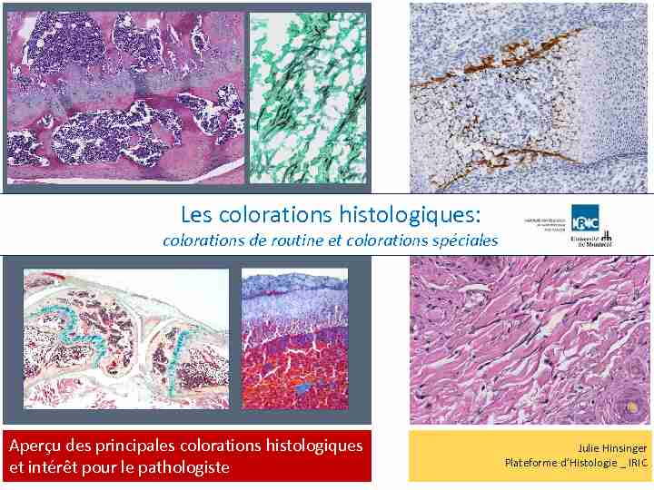 Les colorations histologiques - Université Paris-Saclay
