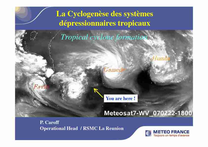 La Cyclogenèse des systèmes dépressionnaires tropicaux Tropical