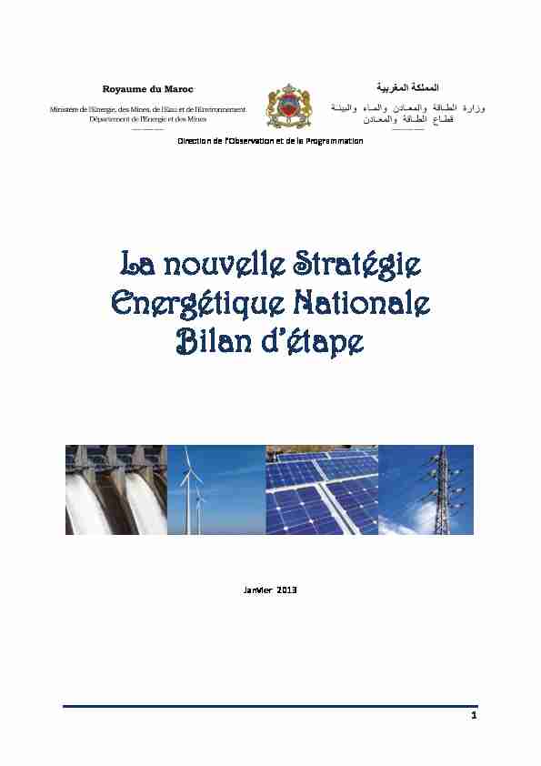 La nouvelle Stratégie Energétique Nationale Bilan détape