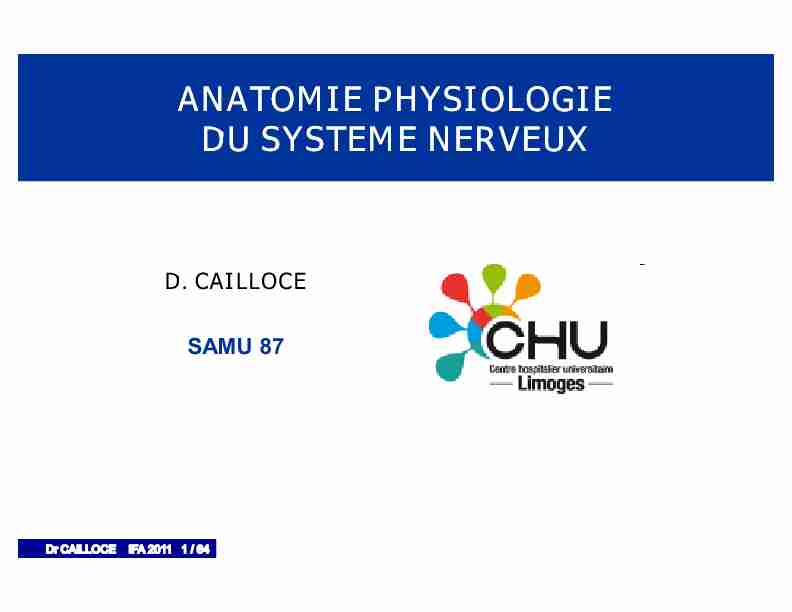 [PDF] ANATOMIE PHYSIOLOGIE DU SYSTEME NERVEUX - Docsamuinfo