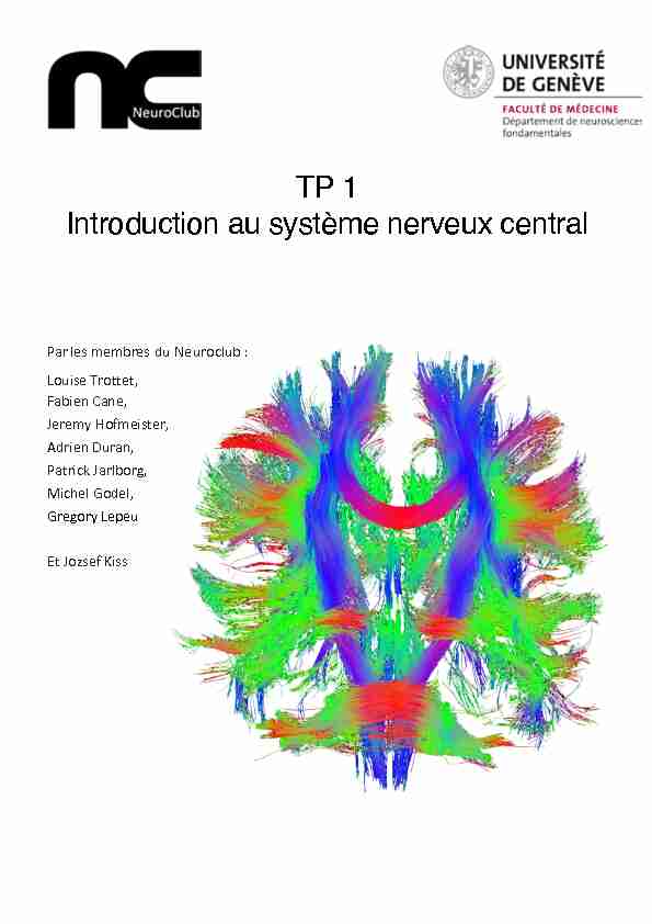 TP 1 Introduction au système nerveux central