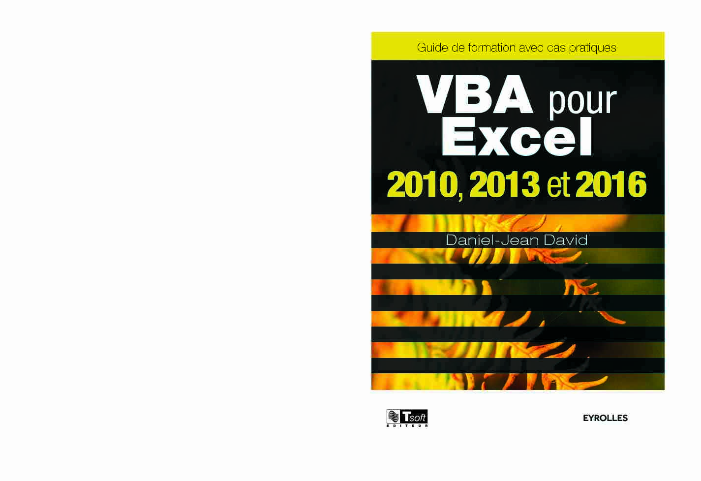 VBA pour Excel 2010 2013 et 2016