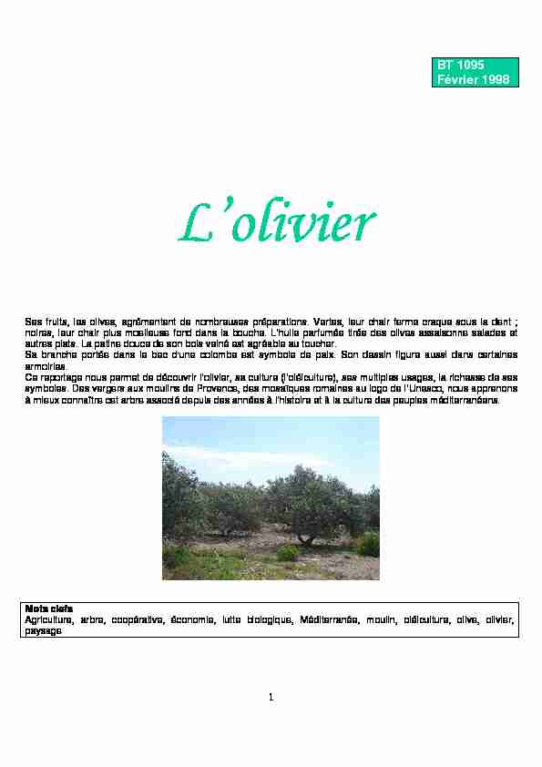olivier.pdf