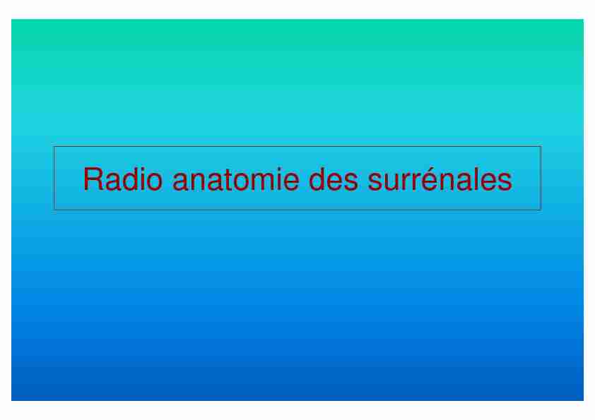 Radio anatomie des surrénales