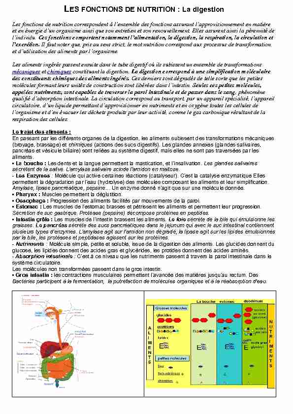 [PDF] LES FONCTIONS DE NUTRITION : La digestion