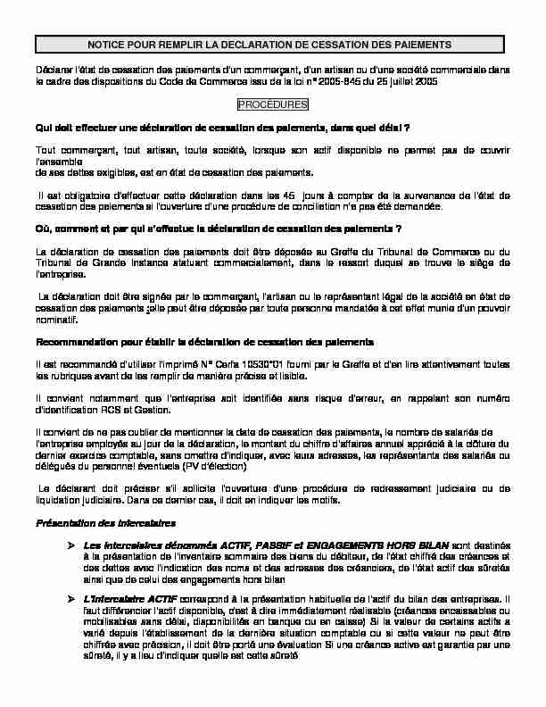 [PDF] NOTICE POUR REMPLIR LA DECLARATION DE CESSATION DES