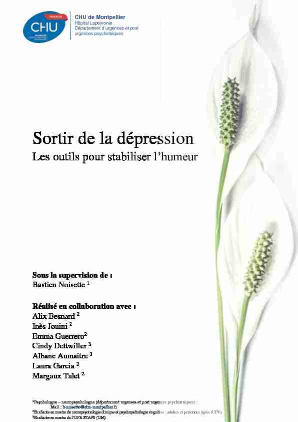[PDF] Sortir de la dépression - CHU de Montpellier