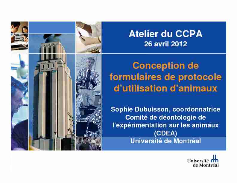 Atelier du CCPA Conception de formulaires de protocole dutilisation
