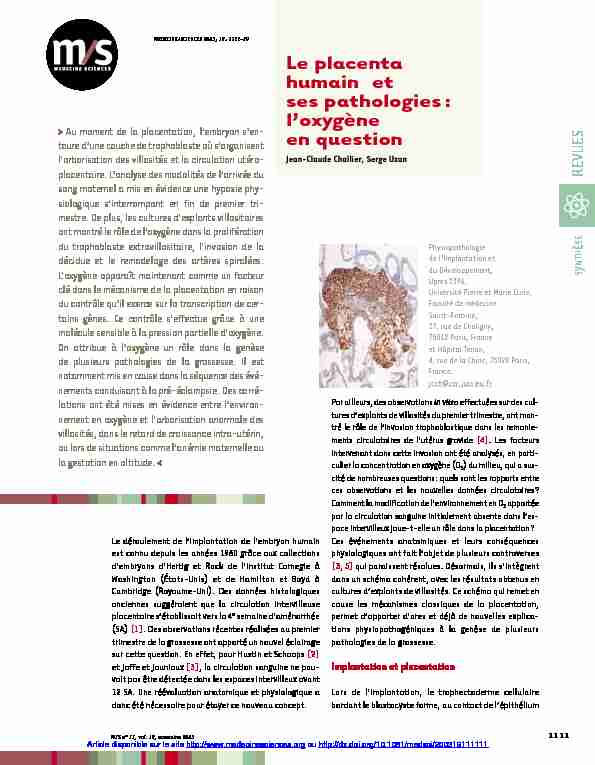 Le placenta humain et ses pathologies : loxygène en question
