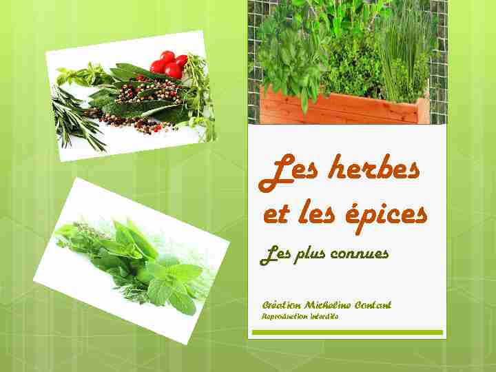 Les herbes et épices (PDF)