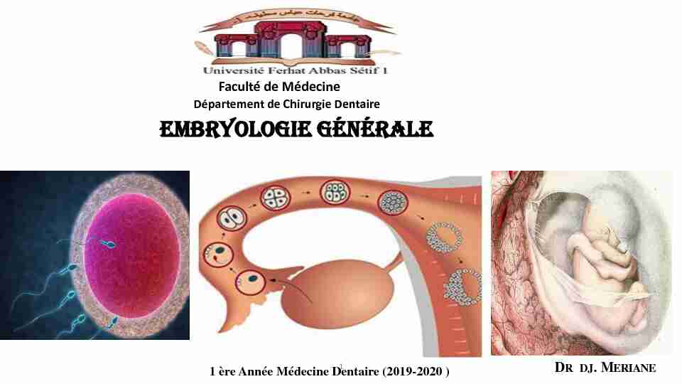 Définitions: - Embryologie: étude du développement de loeuf formé