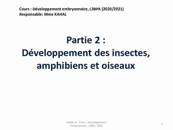 Partie 2 : Développement des insectes amphibiens et oiseaux