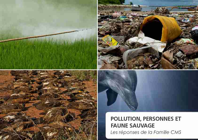 POLLUTION PERSONNES ET FAUNE SAUVAGE - Les réponses