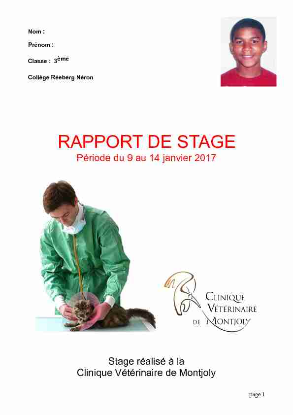 17-12-10 exemple de rapport de stage - Académie de Guyane