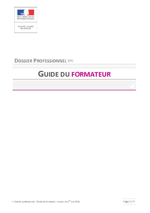 D PROFESSIONNEL (DP) GUIDE DU FORMATEUR