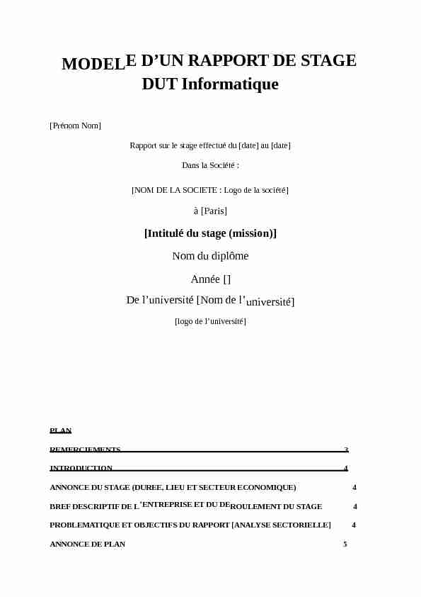 [PDF] MODELE DUN RAPPORT DE STAGE DUT Informatique