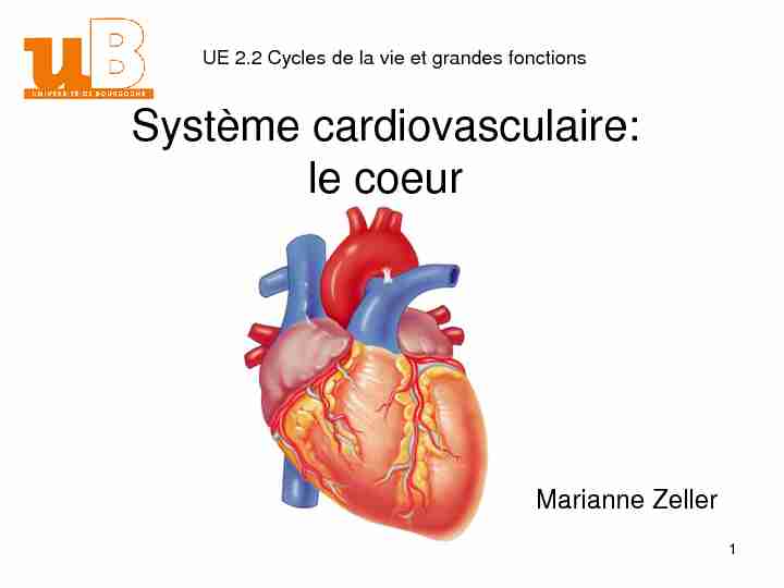 Système cardiovasculaire: le coeur - IFSI DIJON