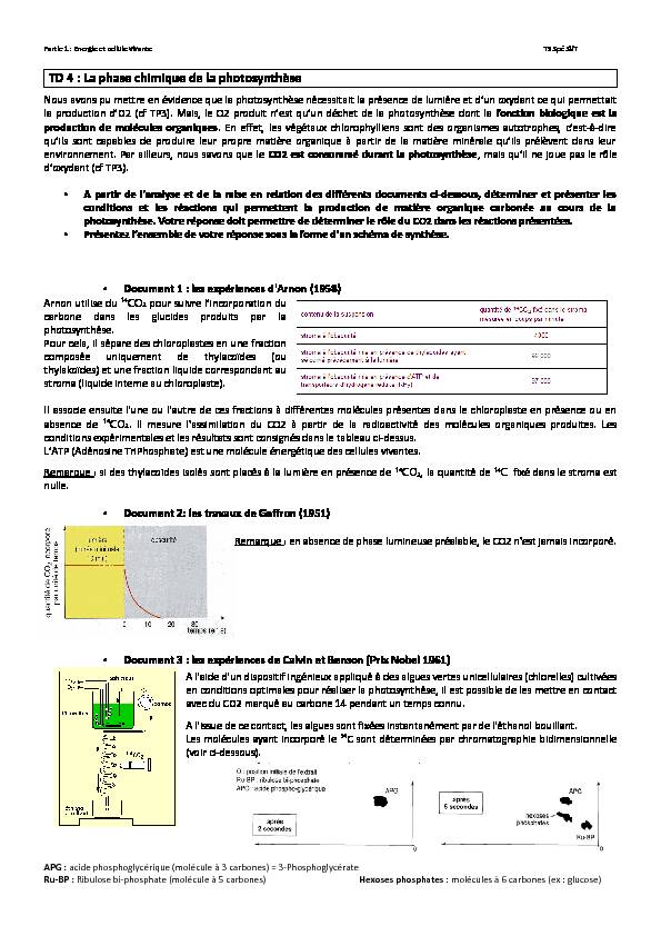 [PDF] TD 4 : La phase chimique de la photosynthèse - Blogpeda