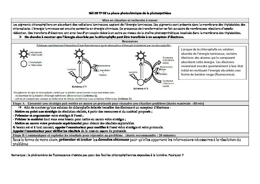 Searches related to la phase photochimique de la photosynthèse tp filetype:pdf