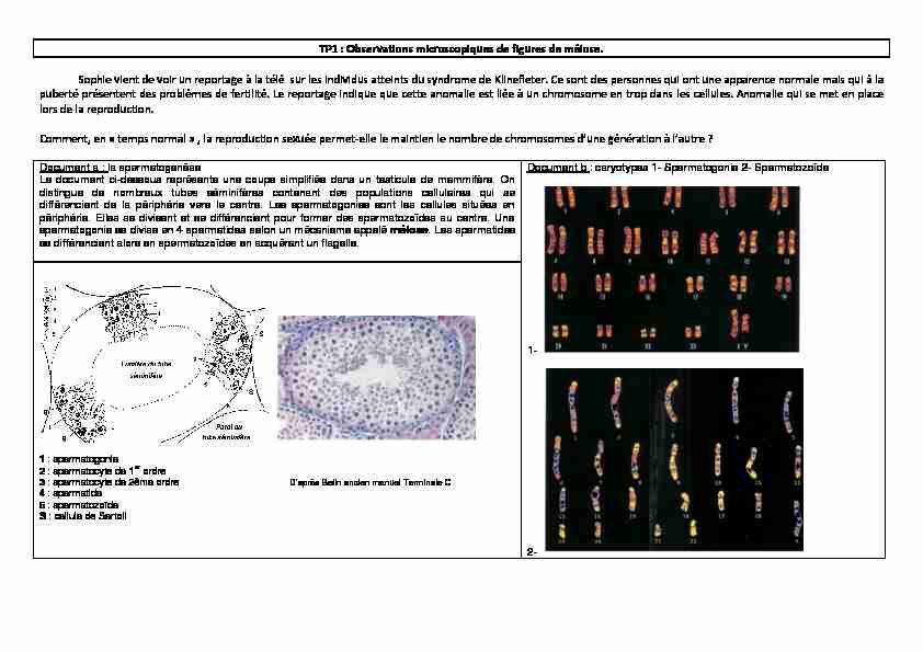 TP1 : Observations microscopiques de figures de méiose